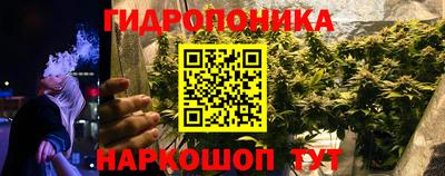 spice Бузулук