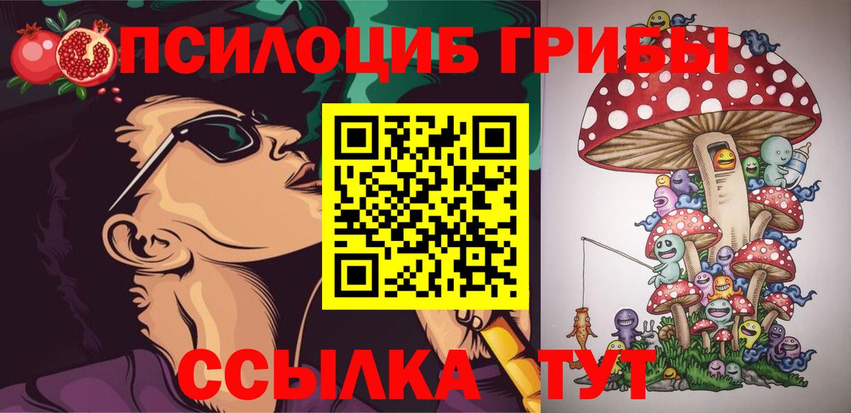 Галлюциногенные грибы Psilocybe Чайковский